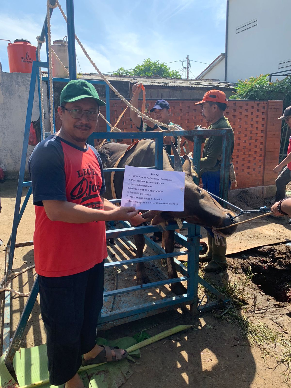 Qurban Idul Adha